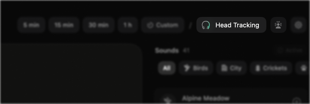 Editor toolbar showing the Head Tracking pill button and the Recenter button in the top-right corner